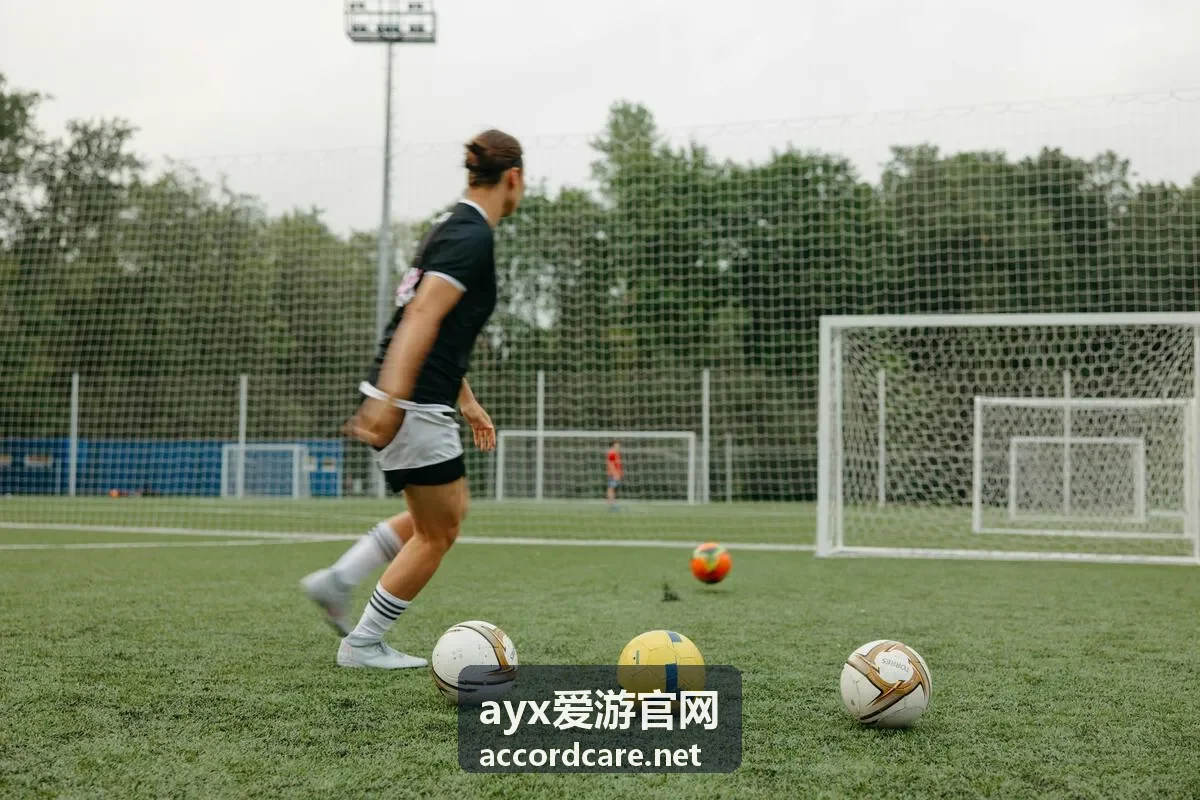 ayx爱游官网 目的地攻略要点整理